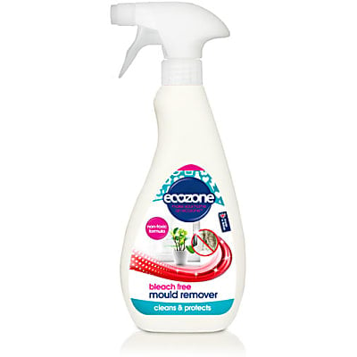 bleach free mould remover